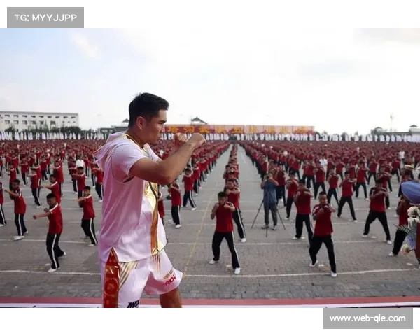 传统武术门派回应实战能力，计划系统参与现代搏击赛事挑战